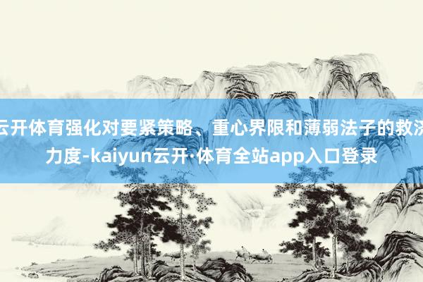 云开体育强化对要紧策略、重心界限和薄弱法子的救济力度-kaiyun云开·体育全站app入口登录